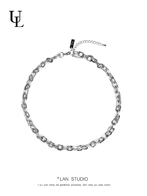 [LAN ARCHIVE] 028 Insert snake thick chain necklace